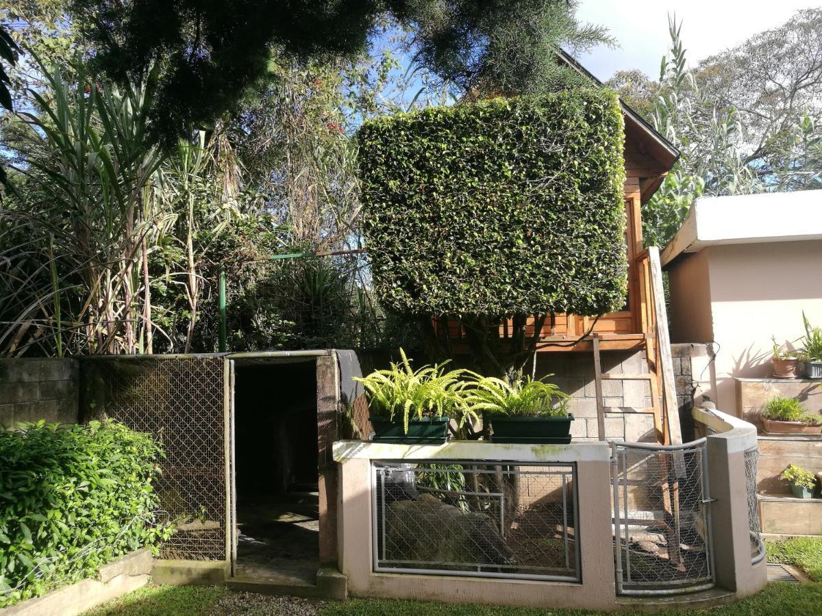 Апартаменти Casa Familiar La Arboleda Guatemala City Екстер'єр фото